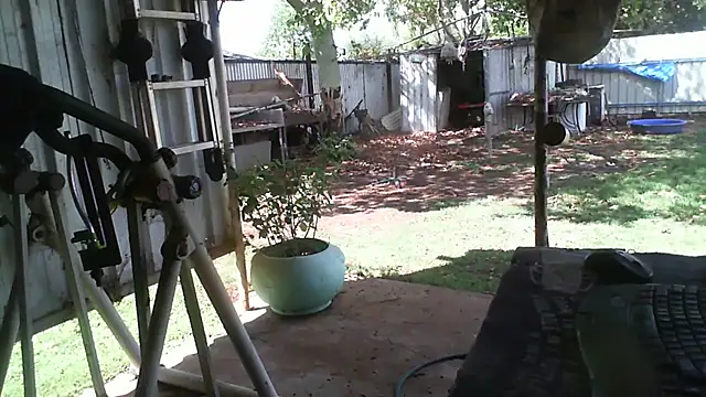 herbie010666 online show from November 20, 4:46 am