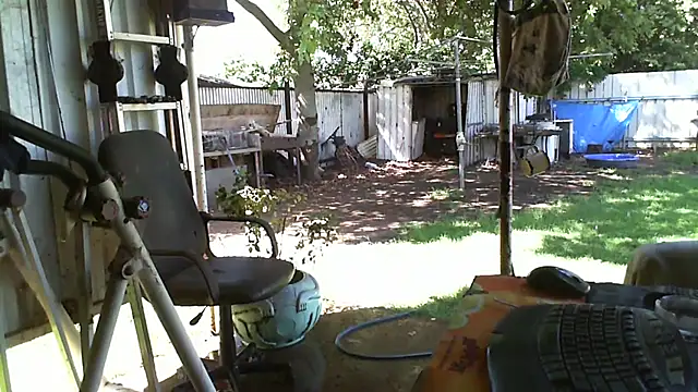 Snapshot of herbie010666 chatting on February 12, 5:05 am herbie010666 online show from February 12, 5:05 am