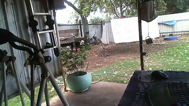 Snapshot of herbie010666 chatting on October 18, 4:14 am herbie010666 online show from October 18, 4:14 am