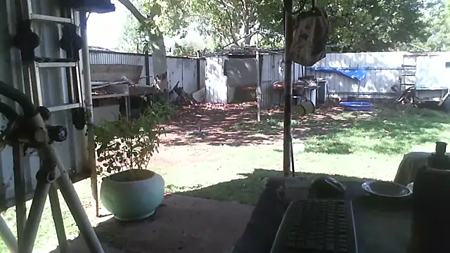 herbie010666 online show from December 5, 5:17 am