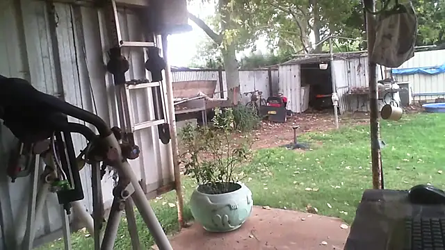 Snapshot of herbie010666 chatting on February 3, 6:40 am herbie010666 online show from February 3, 6:40 am