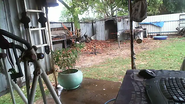 herbie010666 online show from November 13, 4:05 am