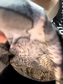 Preet Kaur 69 online show from December 19, 6:43 pm