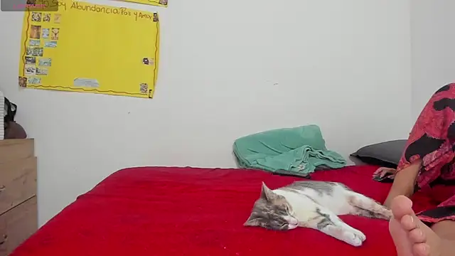 Hela wet online show from November 24, 5:35 pm