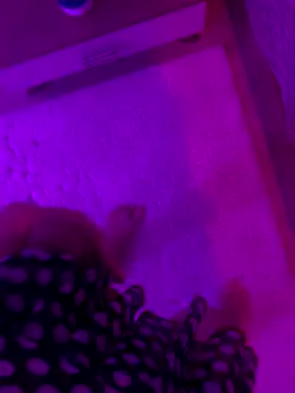 xsanchx online show from October 30, 1:20 pm