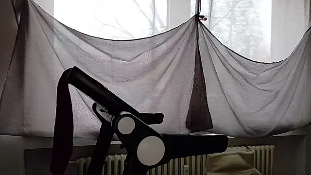 wetgerman 2 online show from November 24, 7:41 am