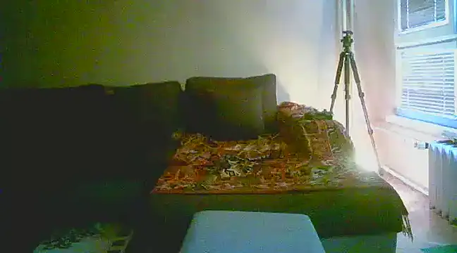 Snapshot of Power_Art chatting on January 13, 2:11 pm Power Art online show from January 13, 2:11 pm