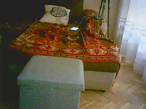 Snapshot of Power_Art chatting on March 11, 3:23 pm Power Art online show from March 11, 3:23 pm