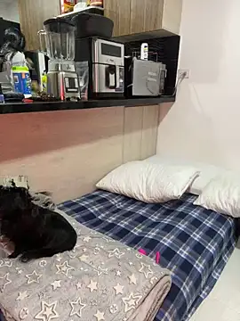 Dubois Amy online show from February 24, 9:30 pm