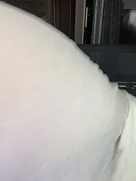 Zoya Varma004 online show from April 10, 2:02 pm