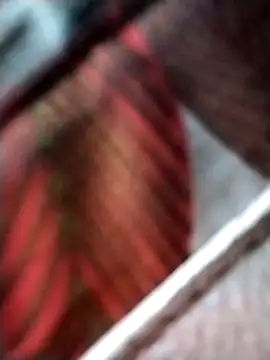 Keyla01  online show from November 7, 10:42 am