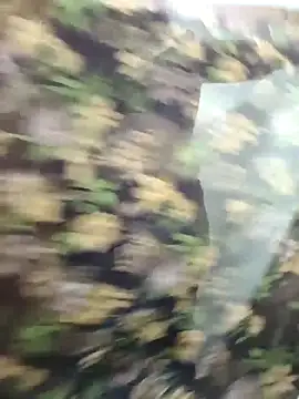 yoursana- online show from October 29, 4:55 am