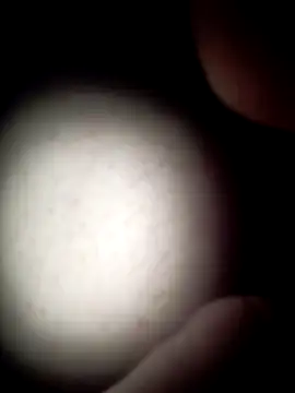 Snapshot of commonjust chatting on November 26, 5:18 am commonjust online show from November 26, 5:18 am