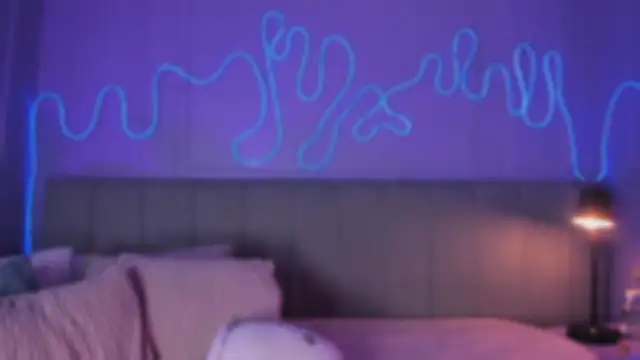 Snapshot of Sofly_s chatting on February 11, 1:55 pm Sofly s online show from February 11, 1:55 pm