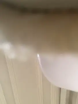 GHsveter online show from March 31, 10:50 am