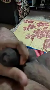 Snapshot of Swift2006 chatting on February 11, 4:11 am Swift2006 online show from February 11, 4:11 am