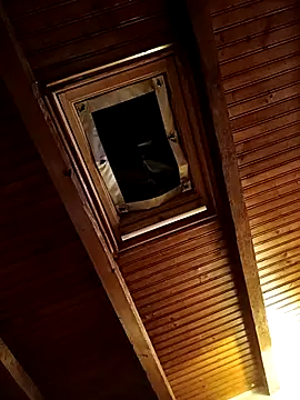 Snapshot of CurlyElisa chatting on February 26, 9:37 pm CurlyElisa online show from February 26, 9:37 pm