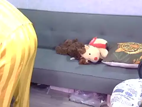 Bee 2k online show from May 7, 4:17 am
