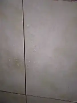 Snapshot of Xxxfill chatting on November 27, 3:40 am Xxxfill online show from November 27, 3:40 am