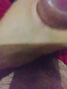 Shugar dick online show from November 17, 3:54 am