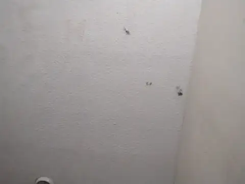 247Srokin online show from March 13, 7:24 am