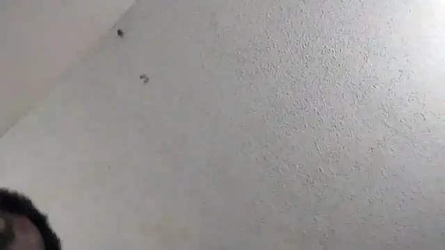 247Srokin online show from March 6, 11:00 pm