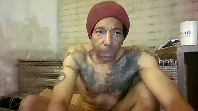 247Srokin online show from November 22, 8:24 am