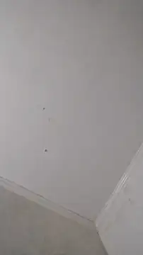 247Srokin online show from October 25, 9:08 am