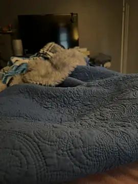 DAJ4002 online show from January 17, 1:26 pm