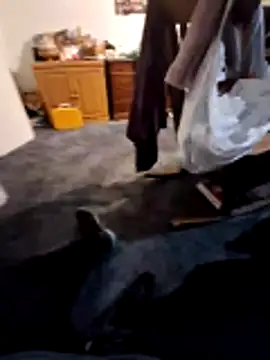 slavefm666 online show from October 11, 5:52 am