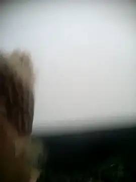 Snapshot of shaynarg chatting on March 6, 8:27 pm shaynarg online show from March 6, 8:27 pm