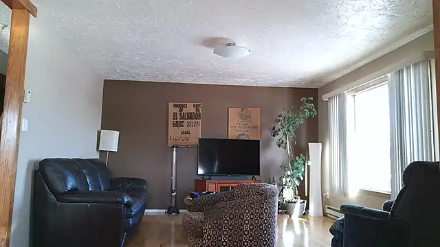 Snapshot of BasicAnt chatting on January 11, 5:20 pm BasicAnt online show from January 11, 5:20 pm