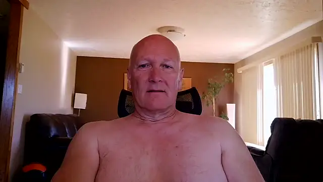 Snapshot of BasicAnt chatting on June 1, 2:50 pm BasicAnt online show from June 1, 2:50 pm