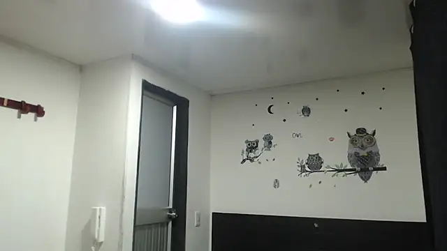 stifen  online show from January 31, 3:41 am