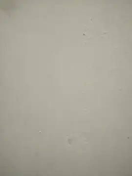 Snapshot of blackjack- chatting on November 22, 12:37 pm blackjack- online show from November 22, 12:37 pm