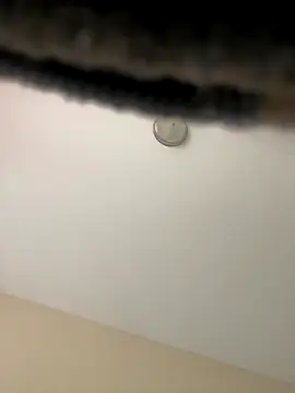 Snapshot of Iced_cloudz chatting on December 14, 3:17 pm Iced cloudz online show from December 14, 3:17 pm