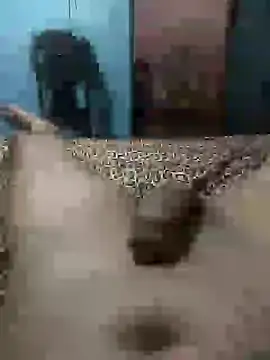 Snapshot of Emanuel45js chatting on March 4, 6:50 pm Emanuel45js online show from March 4, 6:50 pm