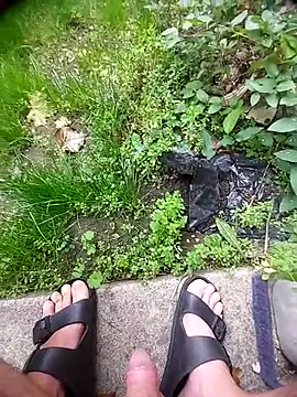 dady-arvey online show from October 21, 12:04 pm