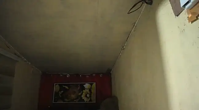 Snapshot of Alwinafox chatting on January 14, 1:15 am Alwinafox online show from January 14, 1:15 am