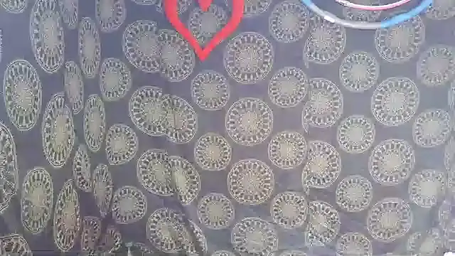 LunaRai online show from February 6, 3:13 am