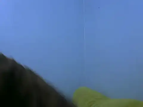 Snapshot of Forsia chatting on February 6, 5:57 am Forsia online show from February 6, 5:57 am