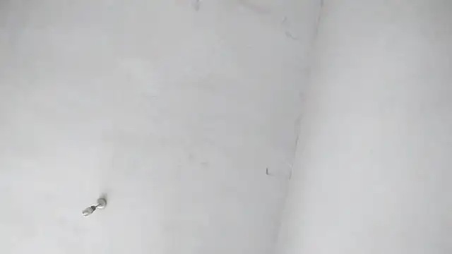 Jigolo mustafa online show from September 29, 11:38 am