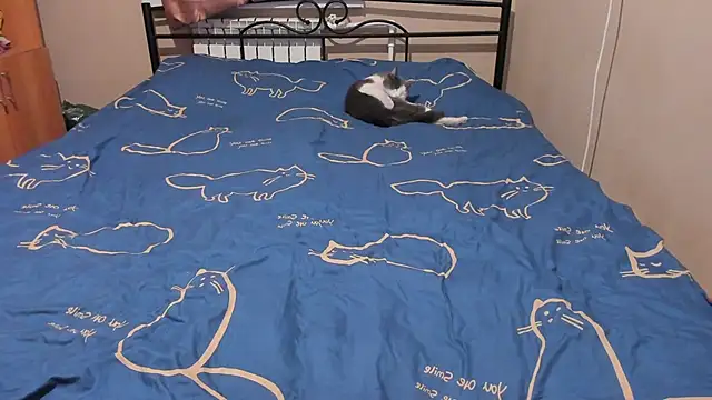 eva zero online show from December 17, 3:06 pm