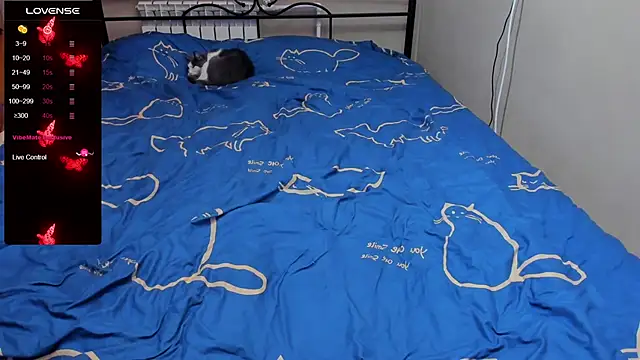 eva zero online show from October 15, 2:36 pm