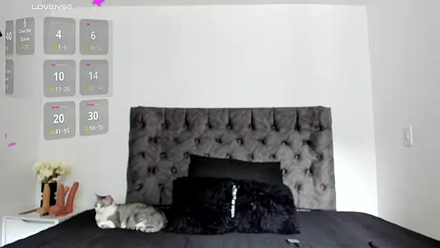 Snapshot of sweet__wild chatting on February 10, 8:19 pm sweet wild online show from February 10, 8:19 pm