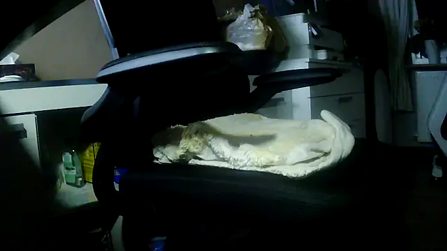 suedel65 online show from February 5, 2:29 am