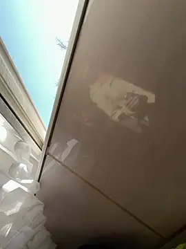 TigerOne19 online show from March 9, 7:34 am