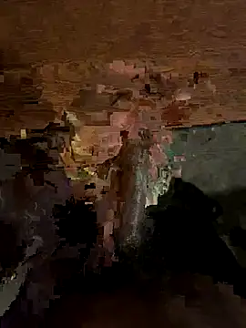 dingoding online show from October 8, 6:59 am