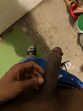 dingoding online show from May 8, 2:48 am