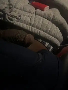 dingoding online show from February 22, 1:44 am